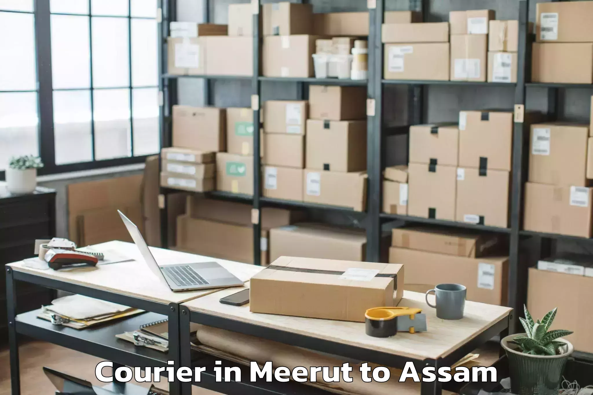 Professional Meerut to Soalkuchi Courier